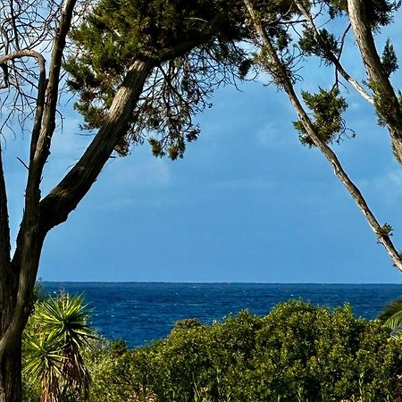 Villa Macalia Pietrosella ภายนอก รูปภาพ