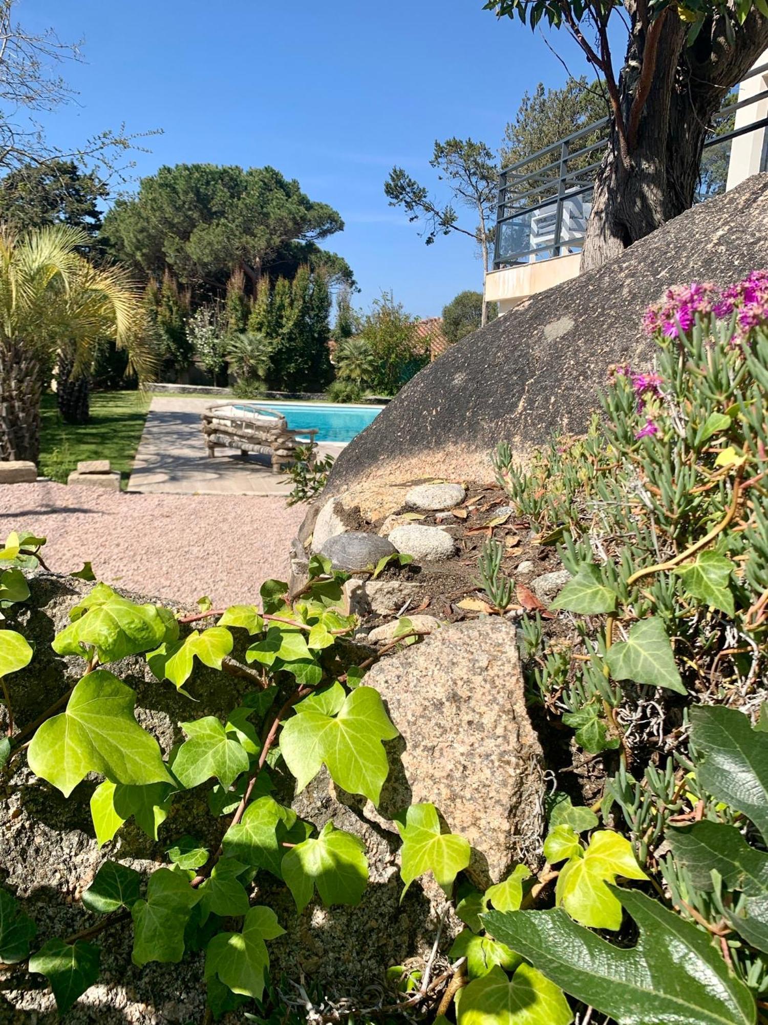 Villa Macalia Pietrosella ภายนอก รูปภาพ